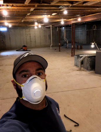 Black mold in basement