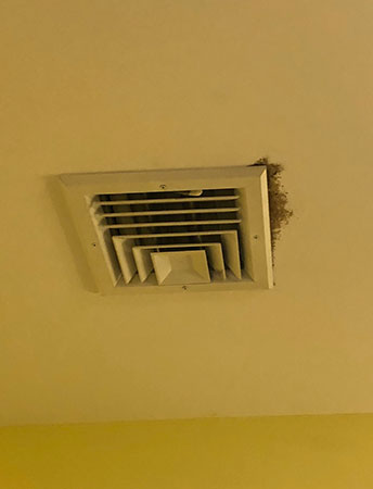Black mold on ceiling air conditioning vent