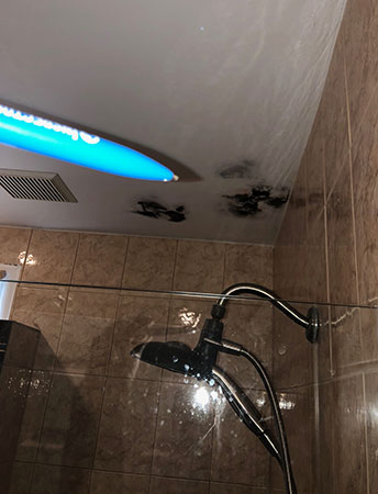 Black mold on bathroom ceiling