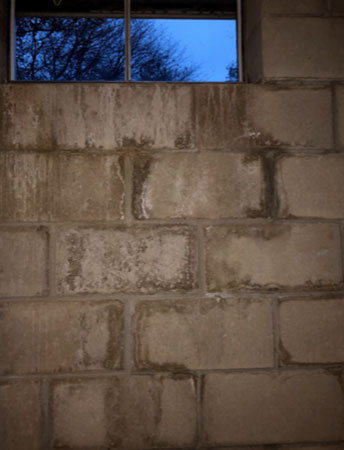 white mold on cinderblock