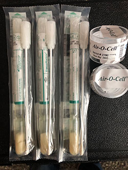 Mold testing supplies